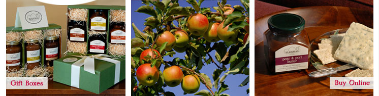 Buy Niagara County farm products online
