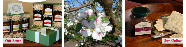 Buy Niagara County farm products online